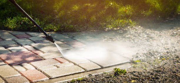 Best Driveway Cleaning and Restoration in Mosinee, WI